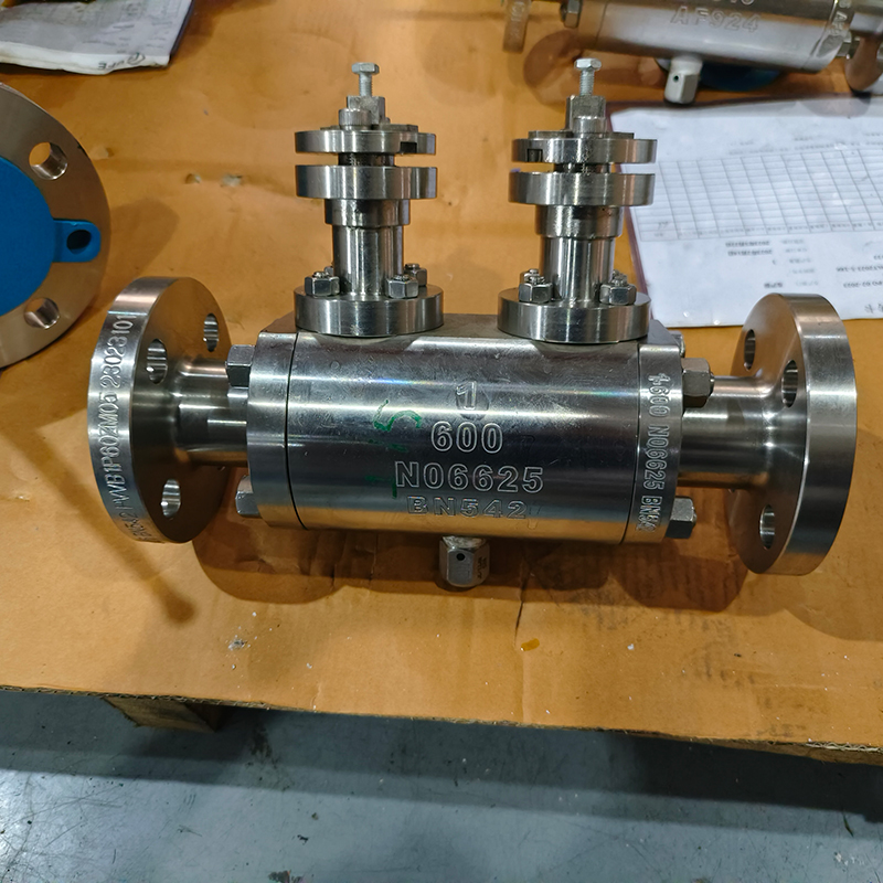 DOUBLE BALL VALVE 1