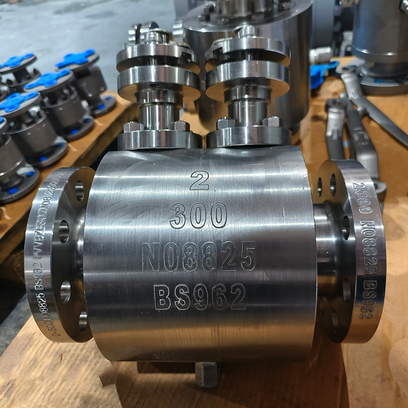 DOUBLE BALL VALVE 2