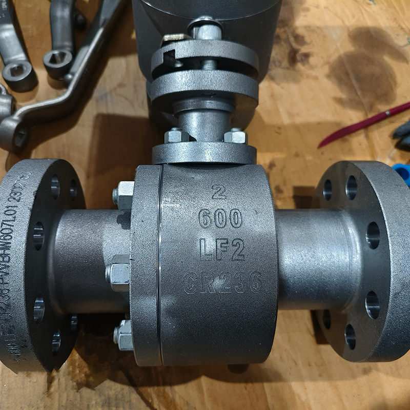 FLOATING BALL VALVE 2