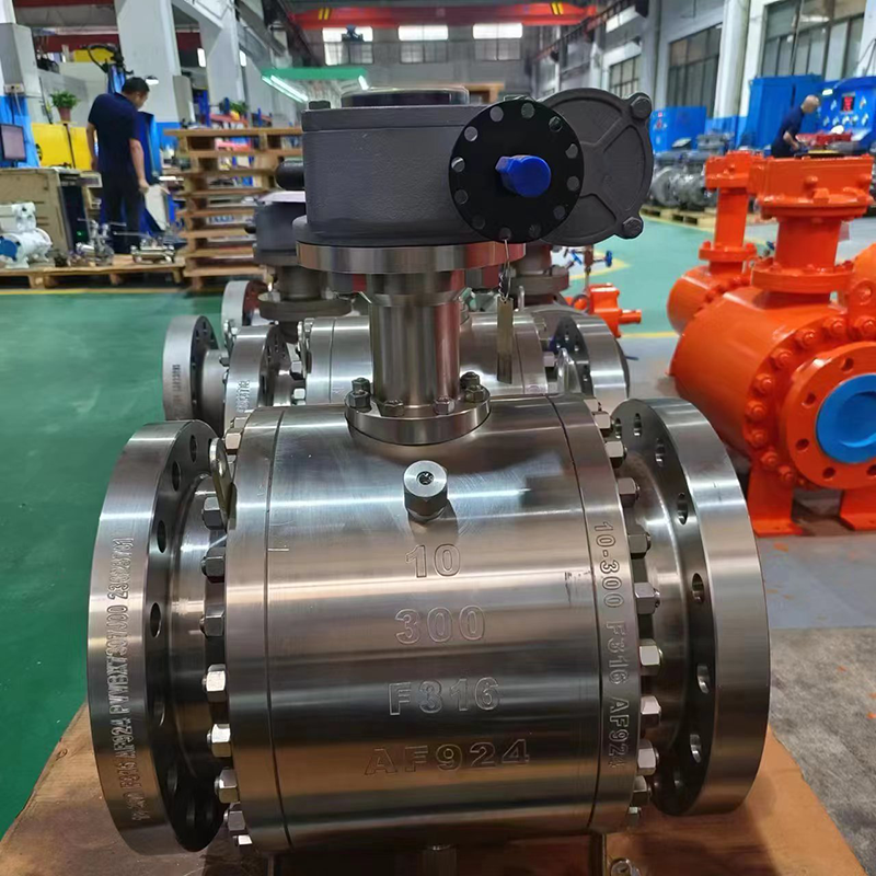 TRUNNION BALL VALVE 10