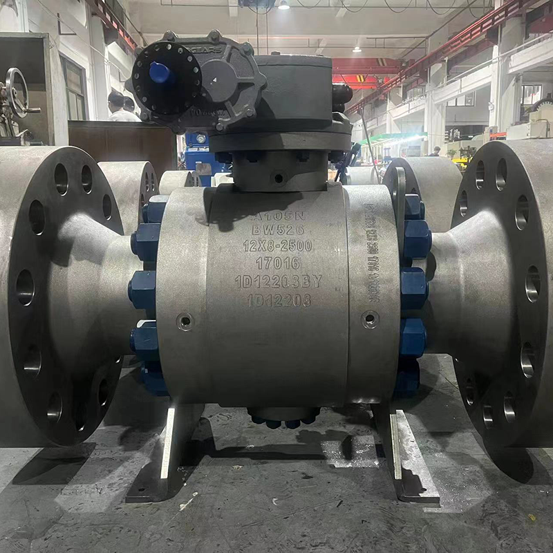 TRUNNION BALL VALVE 12