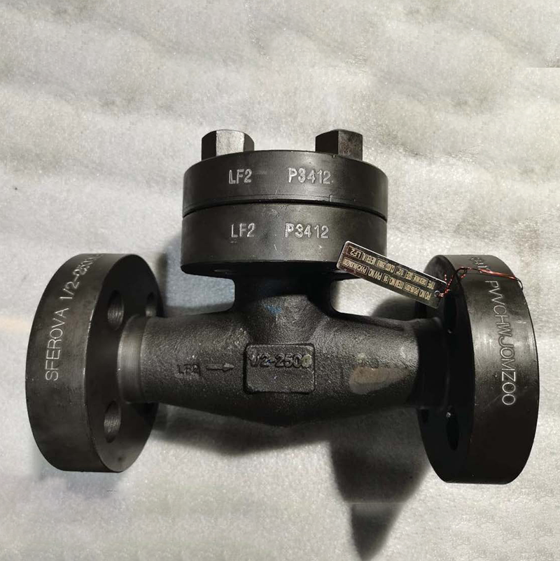 PISTON CHECK VALVE 1