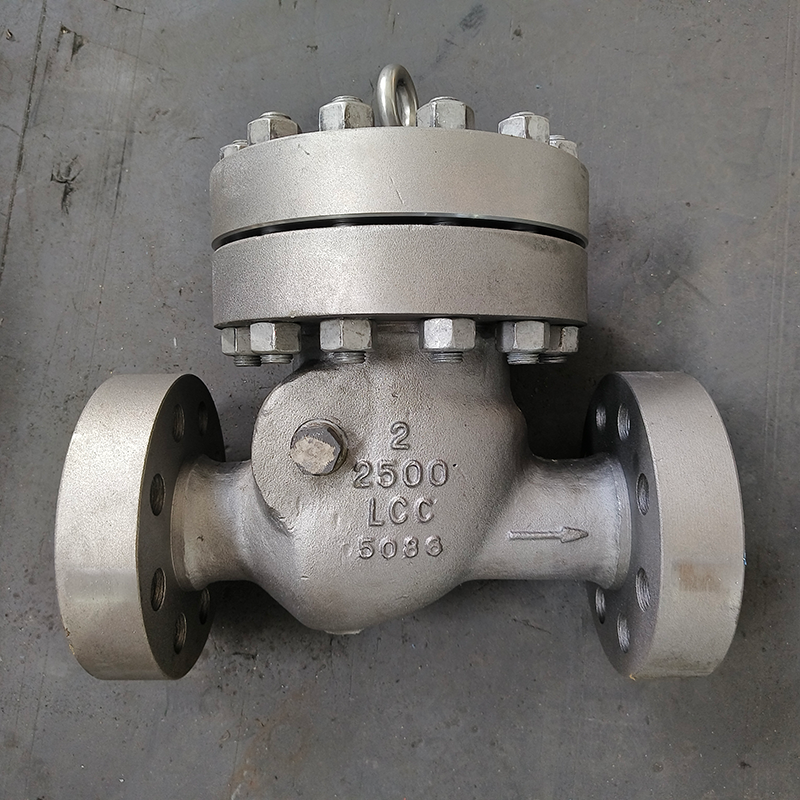 SWING CHECK VALVE 2