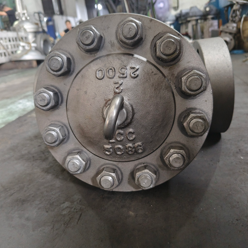 SWING CHECK VALVE 2