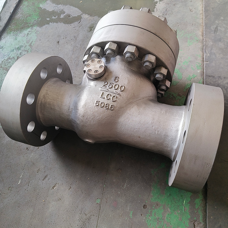 SWING CHECK VALVE 6