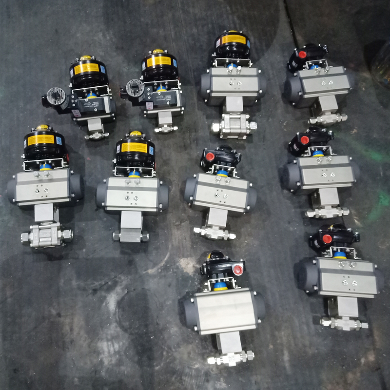 EEXD-PNEUMATIC-ACTUATOR