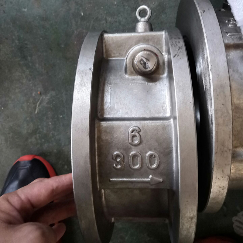 SINGLE DISC WAFER SWING CHECK VALVE 6