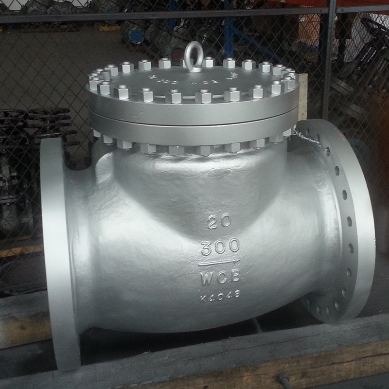 SWING CHECK VALVE 20