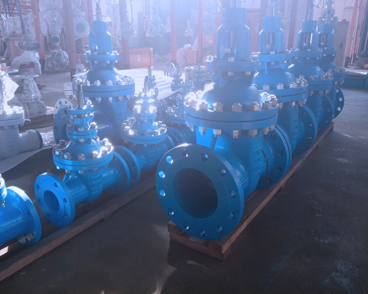 GLOBE VALVE